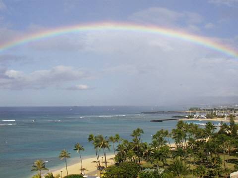 The Waikiki Shore